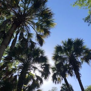 Meet your Posher, Lizzie